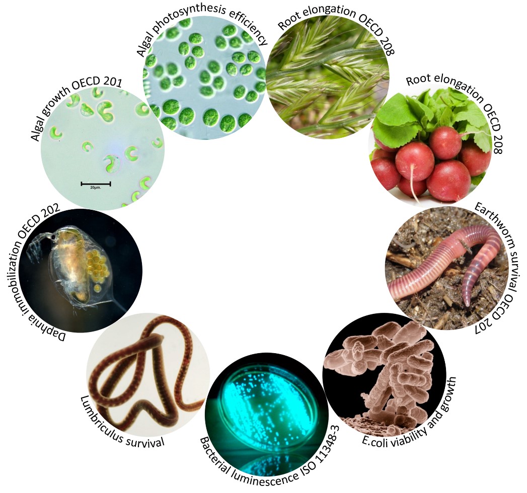 overview of ecotoxicity tests