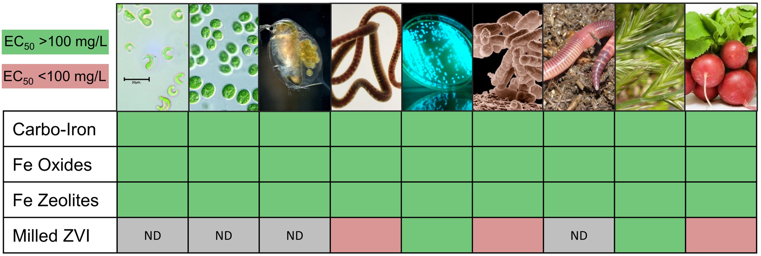 Results of ecotoxicity testing